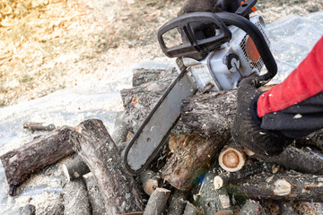 Professional chainsaw cuts firewoods