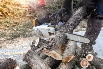 Professional chainsaw cuts firewoods