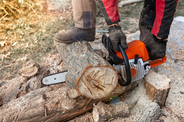 Professional chainsaw cuts firewoods