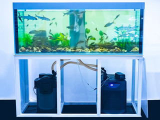 Aquarium products