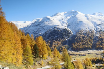 Goldener Oktober im Val Livigno