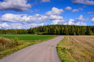 Fototapeta na wymiar Picturesque dirt road on the background of forest and blue sky. Typical landscape in Finland