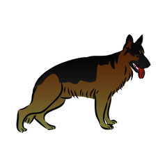 dog German shepherd sketch 