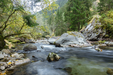 Gebirgsbach im herbstlichen Zillertal in Tirol