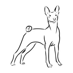 silhouette of a dog sketch, contour vector illustration 