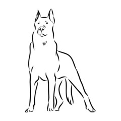 silhouette of a dog, sketch 