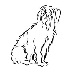vector illustration of a dog