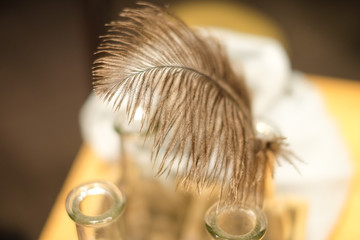 bird feather blurred soft still background with a bottle and feather macro closeup image