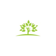 family tree and leaf logo template