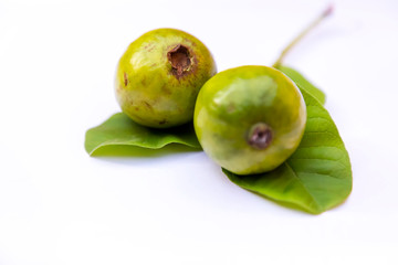 Guava fruit isolated on the white background.
