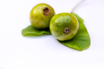 Fresh Guava fruit with leaves on white background. Selective focus