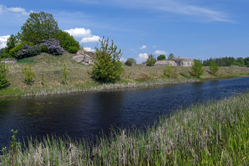 Altarm der Biebrza im Nationalpark Biebrza - Wetland in Biebrza National Park