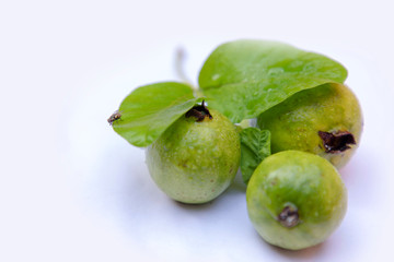 Fresh guava with leaf isolated on white background.