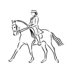 Fototapeta na wymiar cowboy riding horse