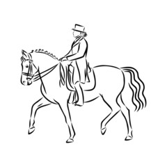 vector illustration of horse