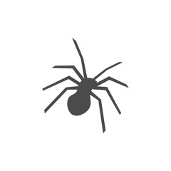 Spider icon vector. Linear style sign for mobile concept and web design. Tarantula symbol illustration. Pixel vector graphics - Vector.