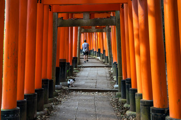 Thousands of torii gates at Fushimi Inari Shrine in Kyoto, Japan