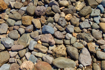 a large number of stones at each other