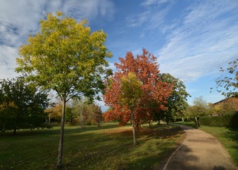 Fototapeta premium Autumnal Impressions from Falkensee in Brandenburg, near Berlin Spandau on October 20, 2019, Germany