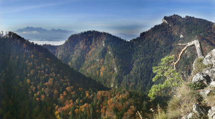 Pieniny - Panorama z Sokolicy widok na Tatry, Trzy Korony