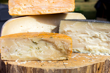 Large selection of cheese varieties on a wooden table background.