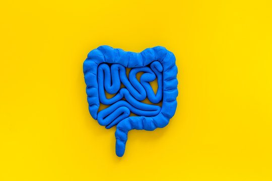 Intestines Health. Guts On Yellow Background Top View Copy Space