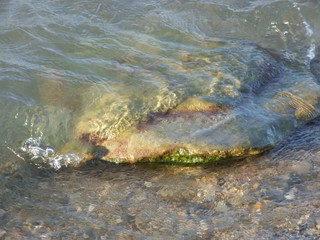 sea surf and stone with green moss