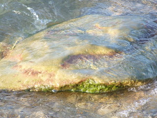 sea surf and stone with green moss