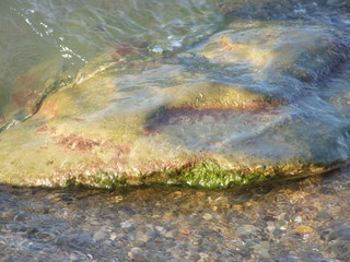 sea surf and stone with green moss