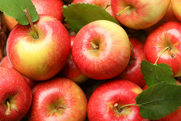 Sweet red apples on whole background, close up