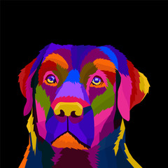 buntes Kopfhunde-Pop-Art-Porträt © artodidact