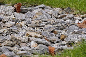 bark for landscape decoration, urban landscaping. laying out paths in the lawn, podsypka for bushes and trees