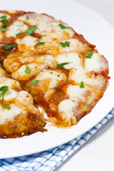 delicious pizza with mozzarella on a plate