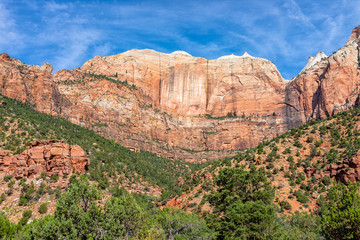 View of colorful red orange Zion National Park cliffs desert landscape during summer day with tall high rock formations and green plants
