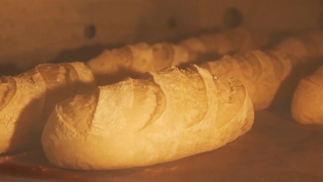 Baking bread in a bakery