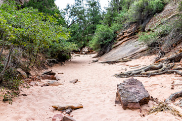 Zion National Park in Utah with Gifford Canyon trail sand and rocks with nobody in summer