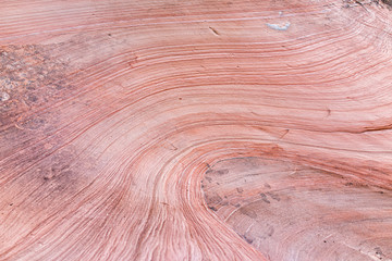 Zion National Park in Utah on Gifford Canyon trail with red pink sandstone layers wave formation on rock wall cliff abstract closeup of design
