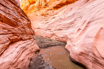 Pink wave shape formations at Antelope slot canyon in Arizona with dirt muddy water after flash flood trail from Lake Powell