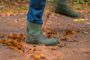 Fototapeta premium Someone walks through the forest with rubber boots and enters a puddle. Concept: weather or fun