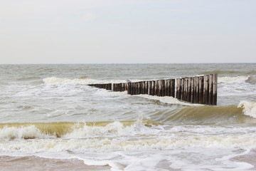 Wave breaker made of wooden stakes on the beach