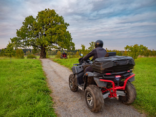Riding an ATV. Two ATVs ride along the path. Quad bikes drive past a large oak tree. Leisure. Traveling by ATV. ATVs go to distillation. Extreme vacation. Extremely spend holidays. Back view.