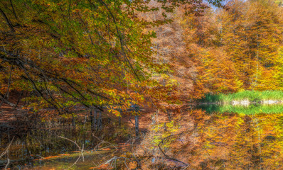 Beautiful lake in the autumn high in the mountains