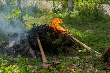 Fototapeta premium Burning dry grass in the garden in spring, Closeup fire