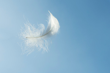 Soft single white feather floating in the air