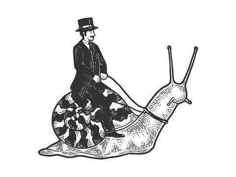 Old fashioned gentleman riding snail sketch engraving vector illustration. T-shirt apparel print design. Scratch board style imitation. Black and white hand drawn image.