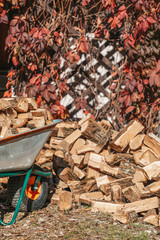 Preparation for the heating season. A cart filled with logs stands next to a pile of firewood. Vertical orientation