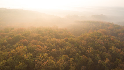 Autumn forest aerial view at sunset.
