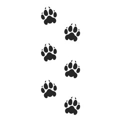 Tiger paw print. Silhouette. Isolated prints on white background © Aleksei_7799