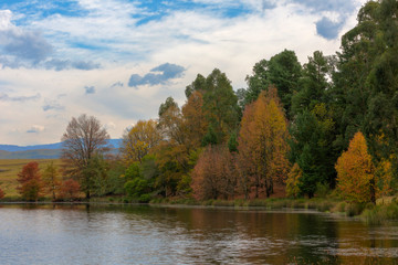 Autumn colored trees next to the pond