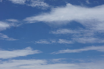 beautiful blue sky on sunny  day